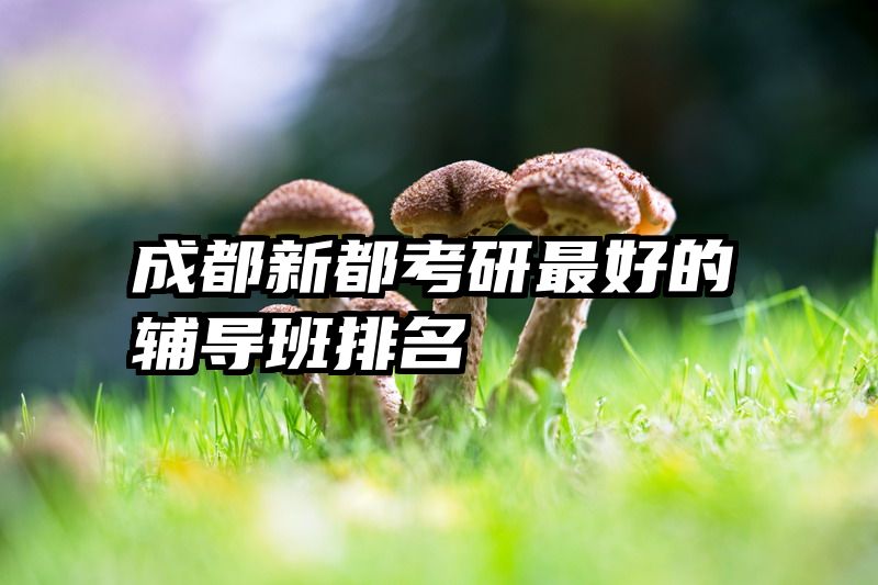 成都新都考研最好的辅导班排名