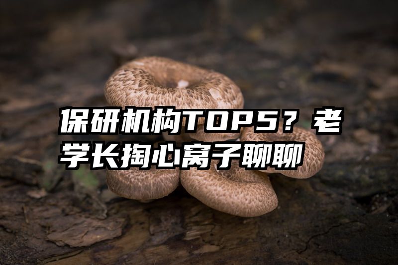 保研机构TOP5?老学长掏心窝子聊聊