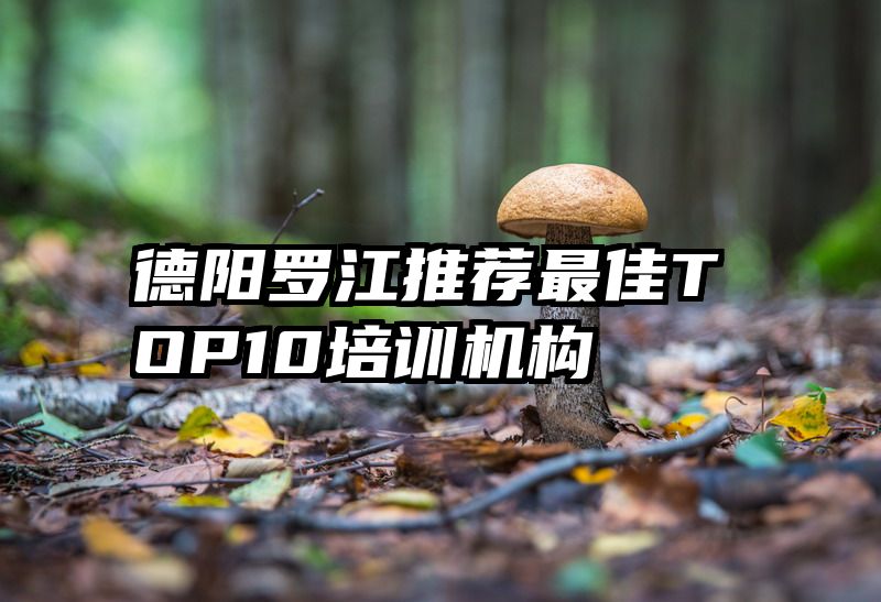 德阳罗江推荐最佳TOP10培训机构