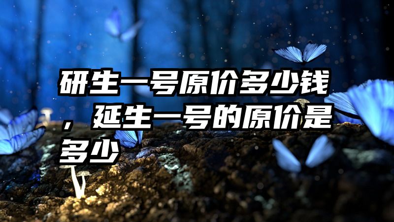 研生一号原价多少钱,延生一号的原价是多少