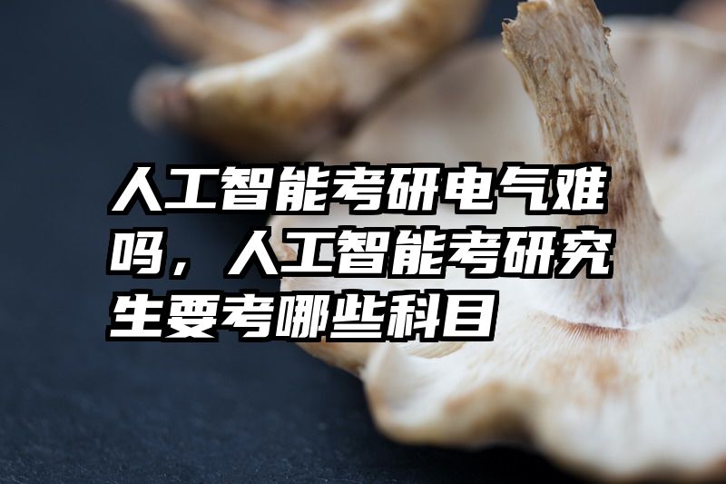 人工智能考研电气难吗,人工智能考研究生要考哪些科目