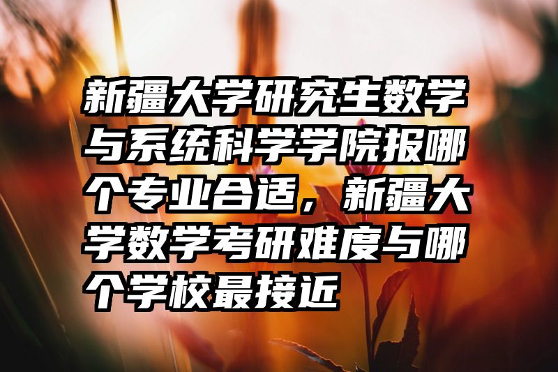 新疆大学研究生数学与系统科学学院报哪个专业合适,新疆大学数学考研难度与哪个学校最接近