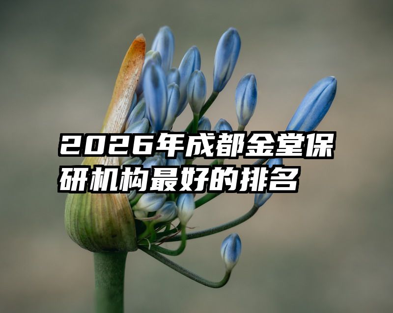 2026年成都金堂保研机构最好的排名
