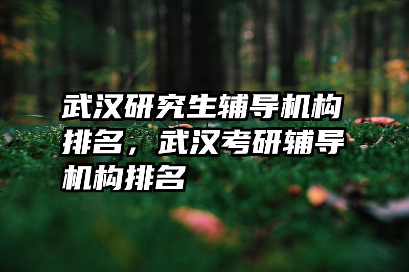武汉研究生辅导机构排名，武汉考研辅导机构排名