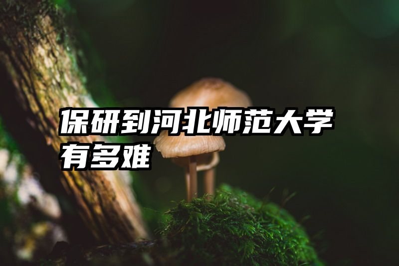 保研到河北师范大学有多难