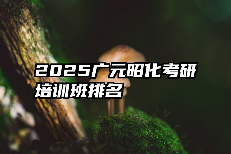 2025广元昭化考研培训班排名
