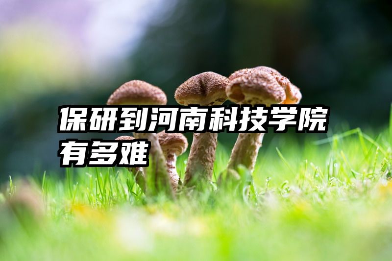 保研到河南科技学院有多难