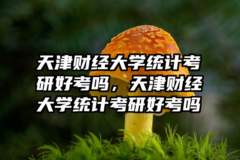 天津财经大学统计考研好考吗，天津财经大学统计考研好考吗