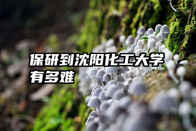 保研到沈阳化工大学有多难
