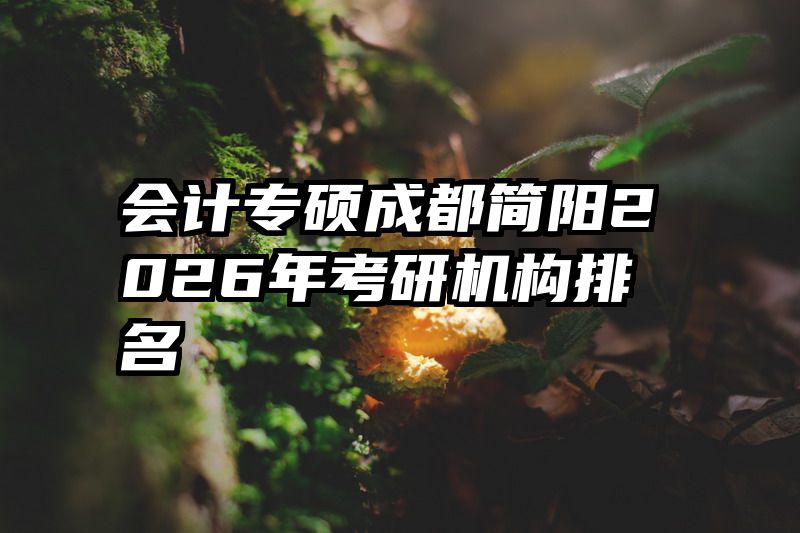 会计专硕成都简阳2026年考研机构排名