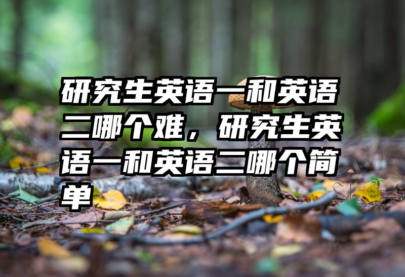 研究生英语一和英语二哪个难,研究生英语一和英语二哪个简单