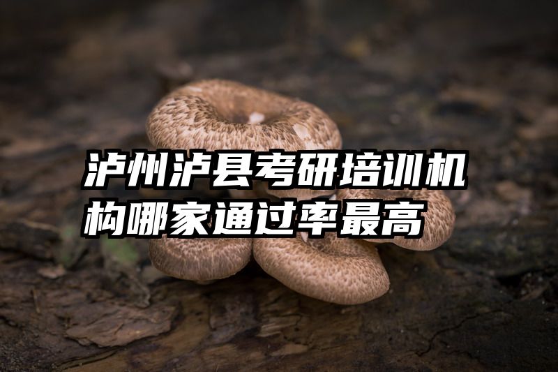 泸州泸县考研培训机构哪家通过率最高