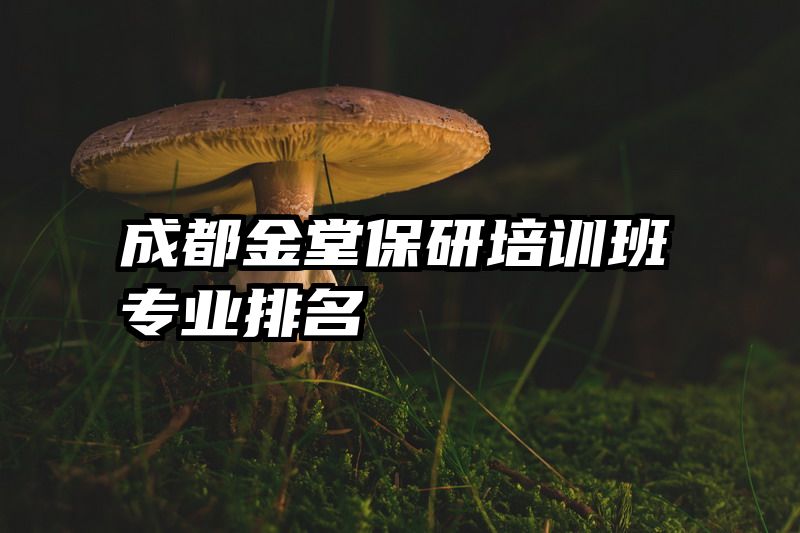 成都金堂保研培训班专业排名