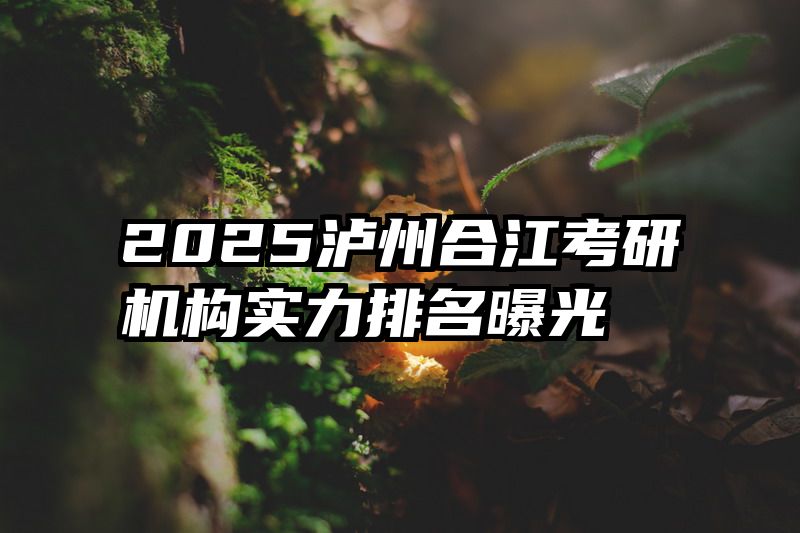 2025泸州合江考研机构实力排名曝光