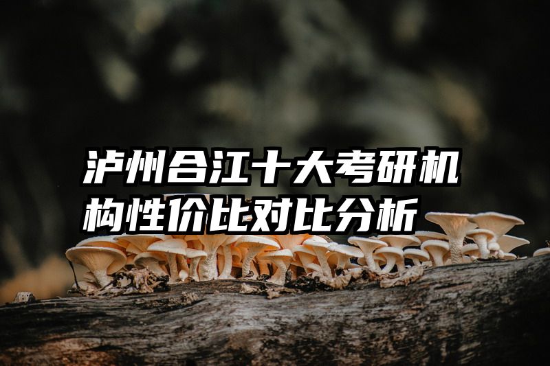 泸州合江十大考研机构性价比对比分析