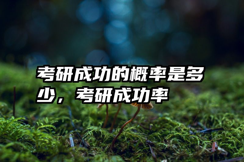 考研成功的概率是多少,考研成功率