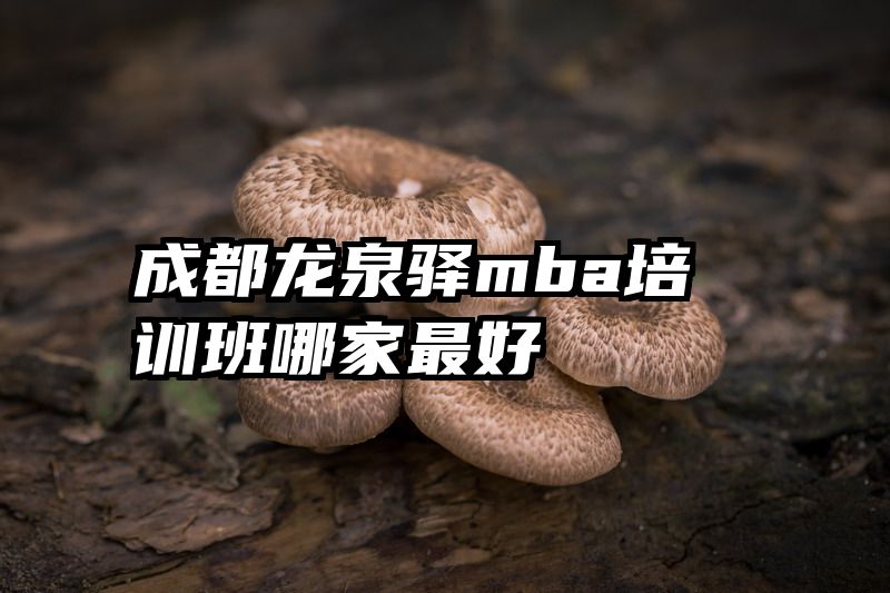 成都龙泉驿mba培训班哪家最好