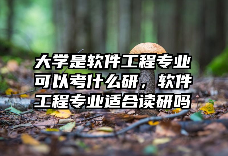 大学是软件工程专业可以考什么研,软件工程专业适合读研吗