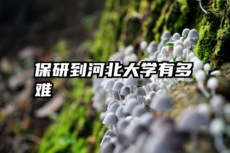 保研到河北大学有多难