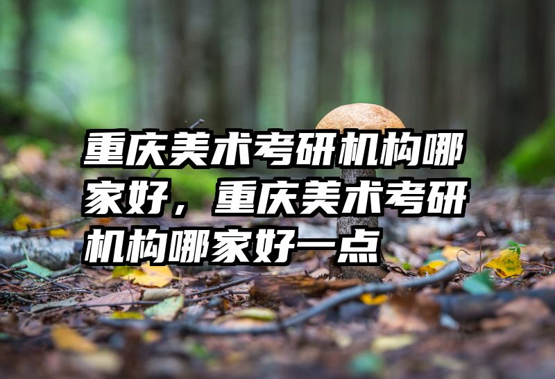 重庆美术考研机构哪家好,重庆美术考研机构哪家好一点