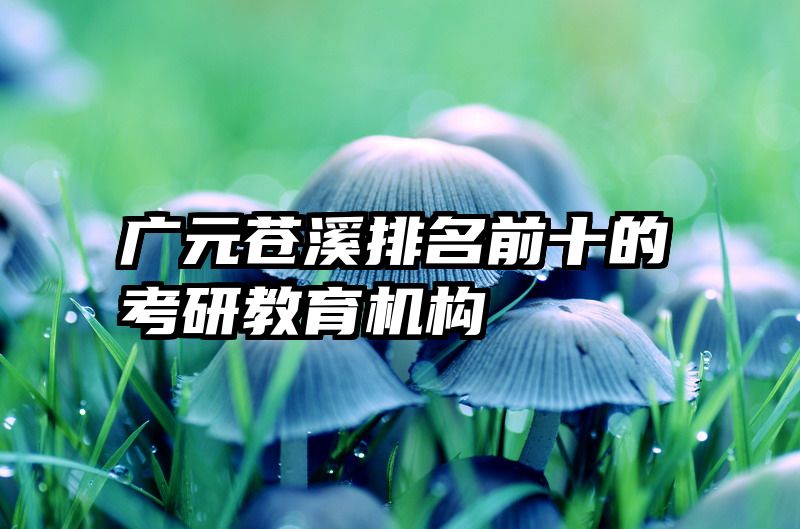 广元苍溪排名前十的考研教育机构