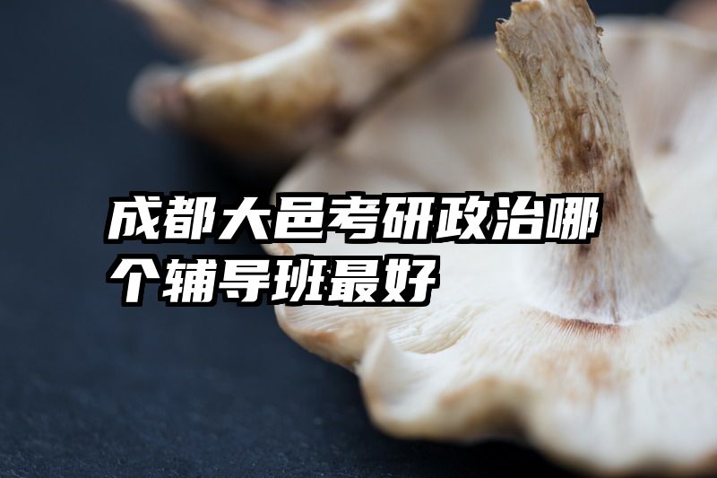成都大邑考研政治哪个辅导班最好