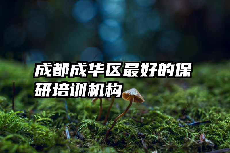 成都成华区最好的保研培训机构