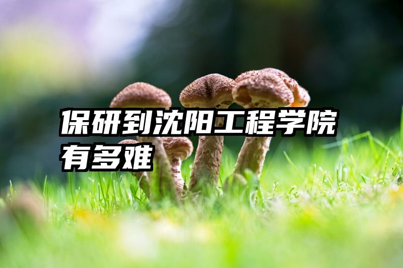 保研到沈阳工程学院有多难