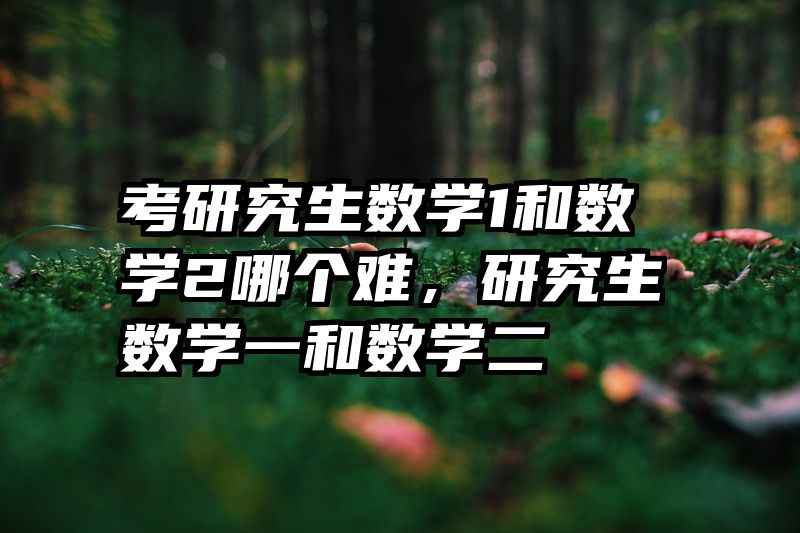 考研究生数学1和数学2哪个难,研究生数学一和数学二
