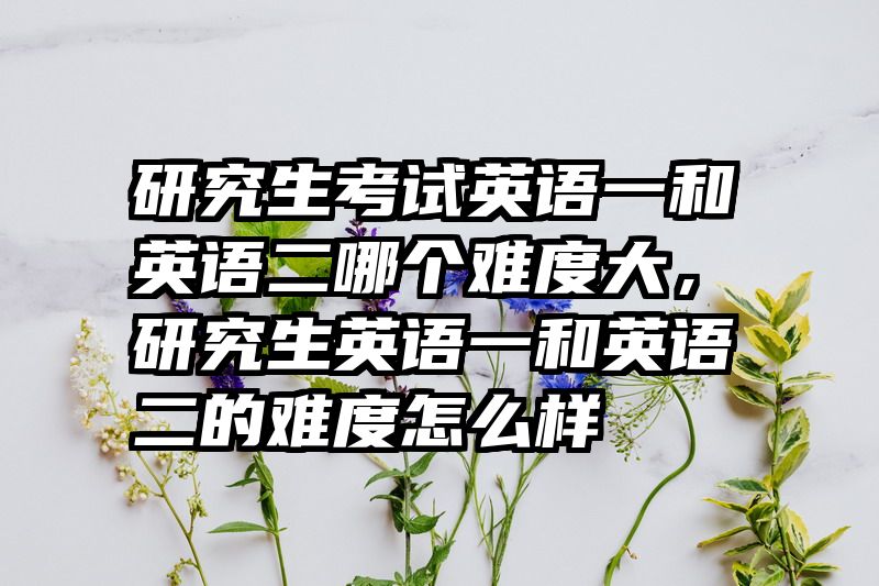 研究生考试英语一和英语二哪个难度大,研究生英语一和英语二的难度怎么样