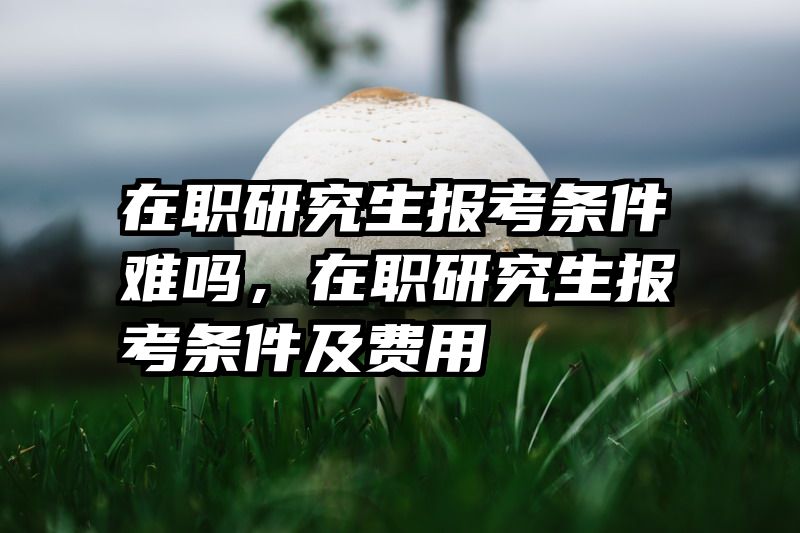 在职研究生报考条件难吗，在职研究生报考条件及费用