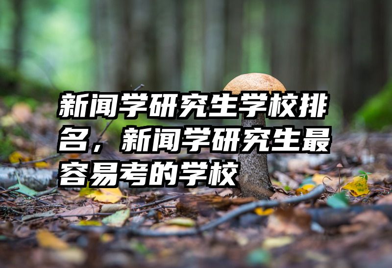 新闻学研究生学校排名，新闻学研究生最容易考的学校