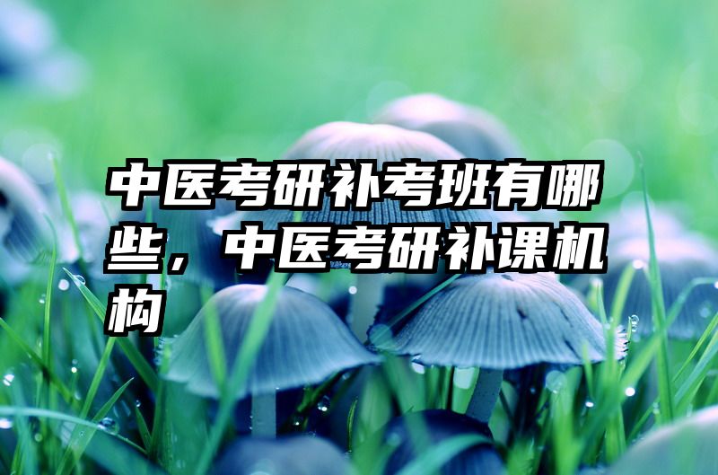 中医考研补考班有哪些，中医考研补课机构