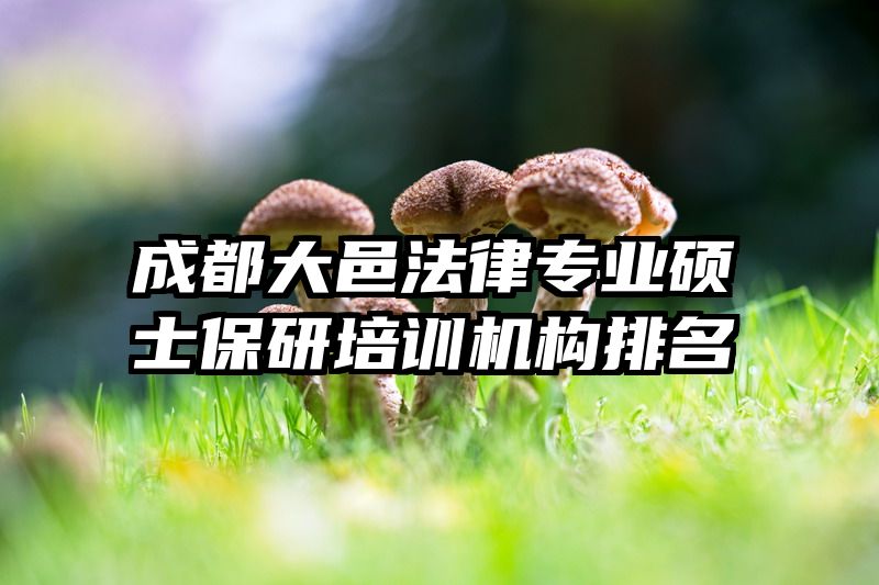 成都大邑法律专业硕士保研培训机构排名