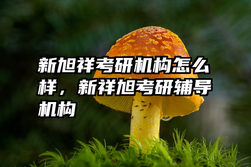 新旭祥考研机构怎么样,新祥旭考研辅导机构