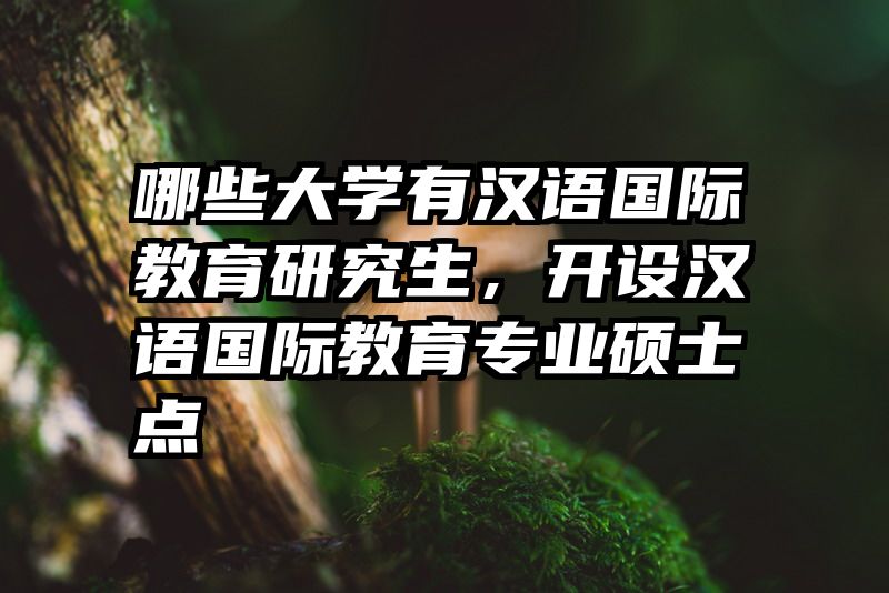 哪些大学有汉语国际教育研究生,开设汉语国际教育专业硕士点