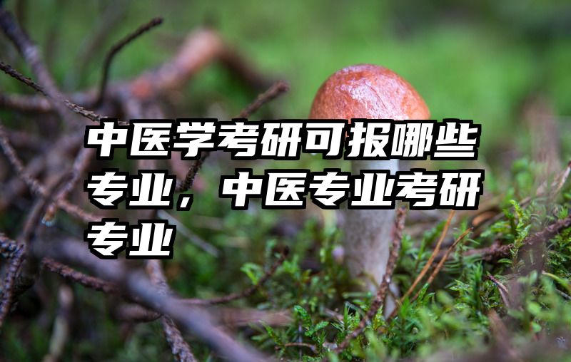 中医学考研可报哪些专业，中医专业考研专业