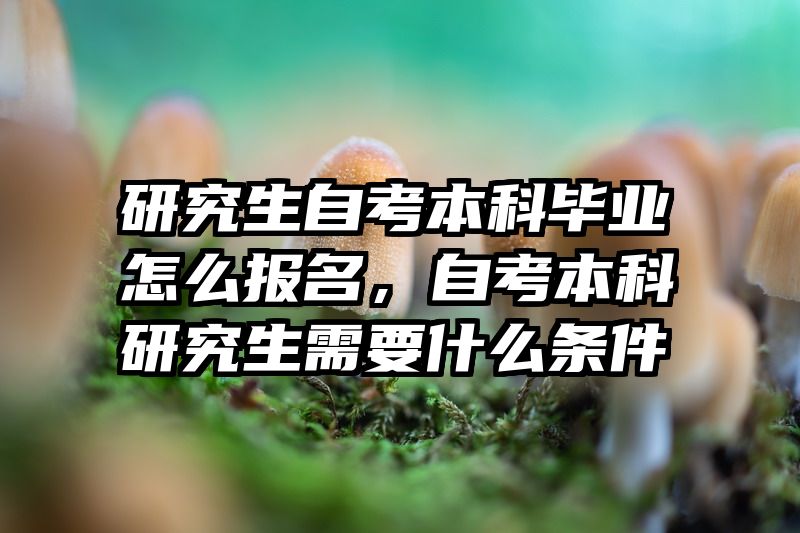 研究生自考本科毕业怎么报名，自考本科研究生需要什么条件