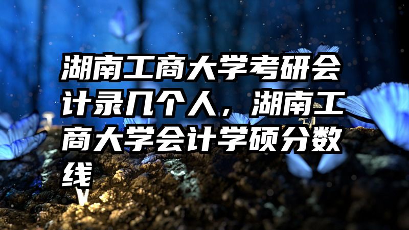 湖南工商大学考研会计录几个人，湖南工商大学会计学硕分数线