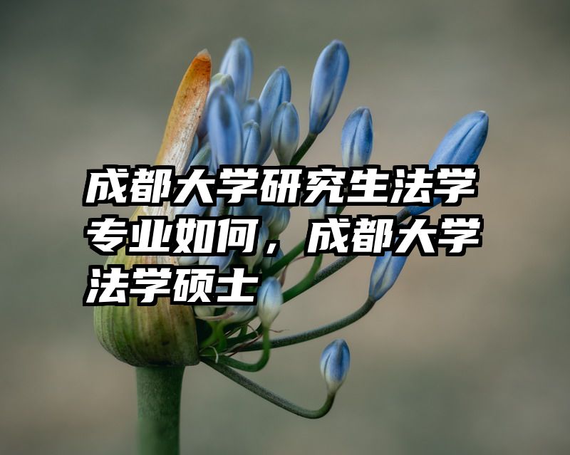 成都大学研究生法学专业如何，成都大学法学硕士