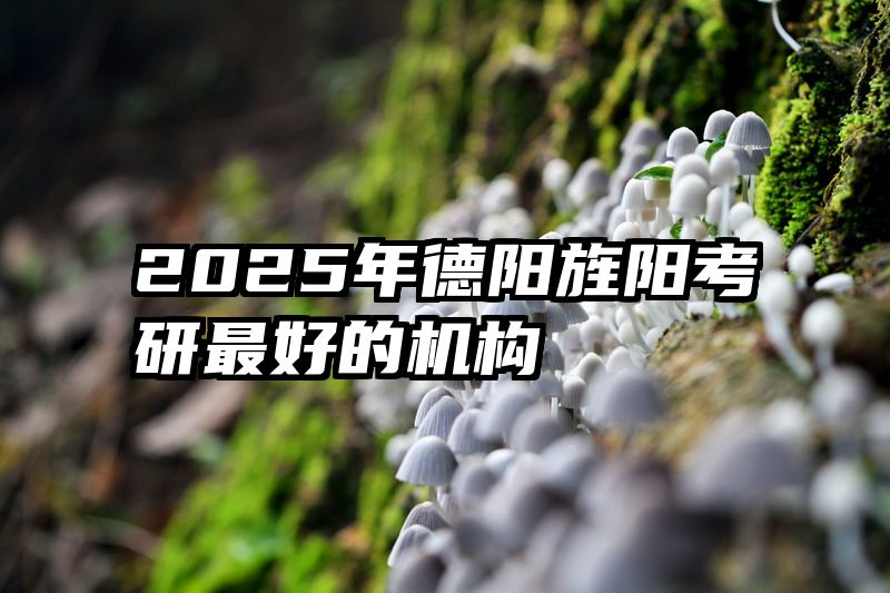 2025年德阳旌阳考研最好的机构