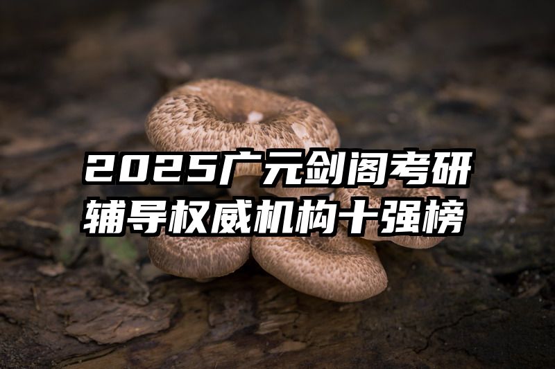 2025广元剑阁考研辅导权威机构十强榜