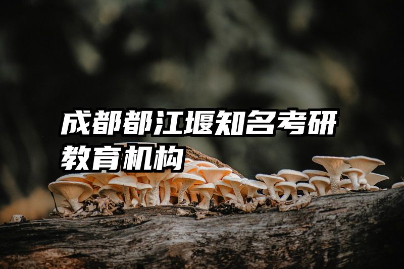 成都都江堰知名考研教育机构