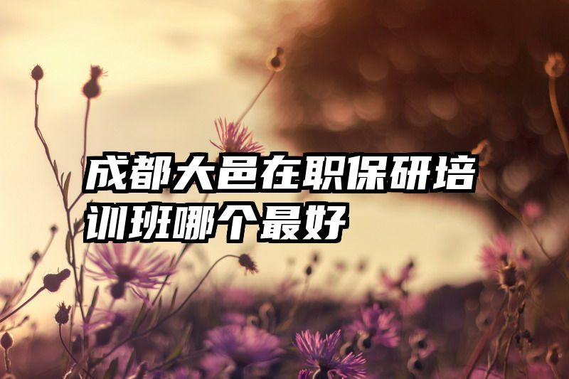 成都大邑在职保研培训班哪个最好