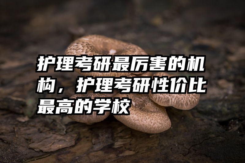 护理考研最厉害的机构，护理考研性价比最高的学校