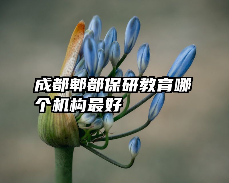成都郫都保研教育哪个机构最好