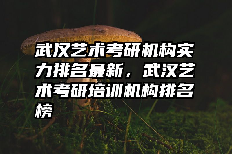 武汉艺术考研机构实力排名最新,武汉艺术考研培训机构排名榜