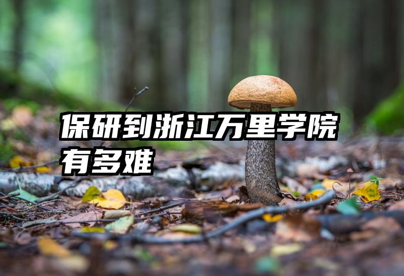 保研到浙江万里学院有多难