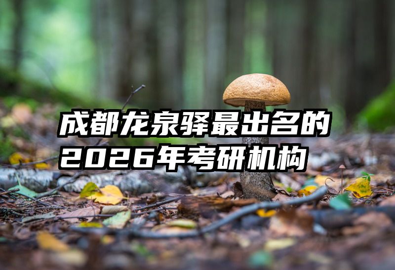成都龙泉驿最出名的2026年考研机构