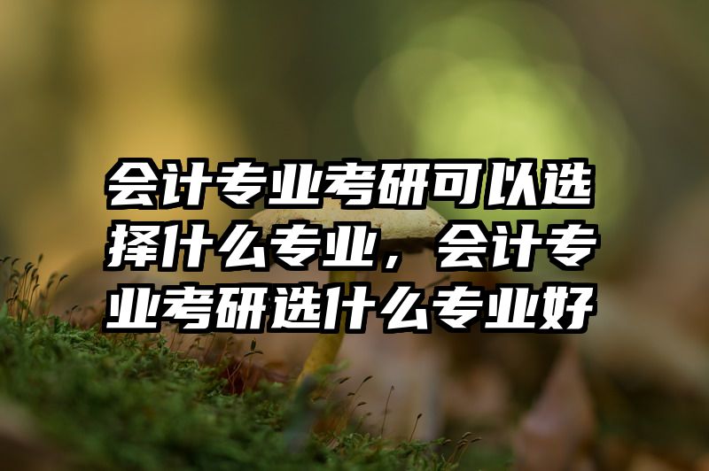 会计专业考研可以选择什么专业，会计专业考研选什么专业好